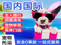 张家界航空物流国际宠物托运 【国